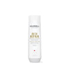 Goldwell Rich Repair Restoring Shampoo 250ml