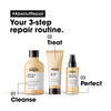 L'Oréal Professionnel Absolut Repair Gold Shampoo & Oil Bundle