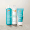 Moroccanoil Repair Spring Kit