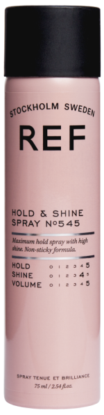 REF Hold And Shine Spray 300ml
