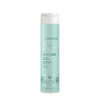 Joico Inner Joi Hydrate Shampoo 300ml (Last Of Range)
