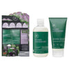 Paul Mitchell Lavender Dreams Mint Moisturizing Giftset