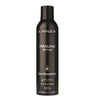 Lanza Healing Style Dry Shampoo 300ml