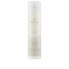 Paul Mitchell Awapuhi Wild Ginger Anti-Frizz Hairspray 307ml