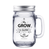 Quick Grow Glass Smoothie Jar 500ml