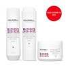 Goldwell Color Brilliance Trio Bundle